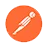 postman icon